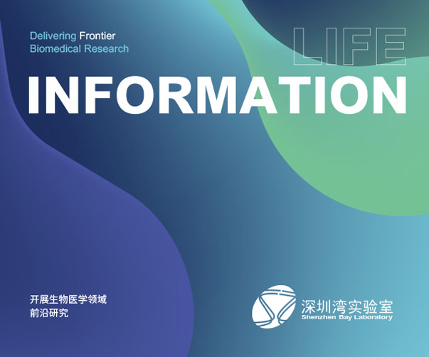 SeidrLab的數(shù)據(jù)科技公司vi設(shè)計(jì)重塑之旅