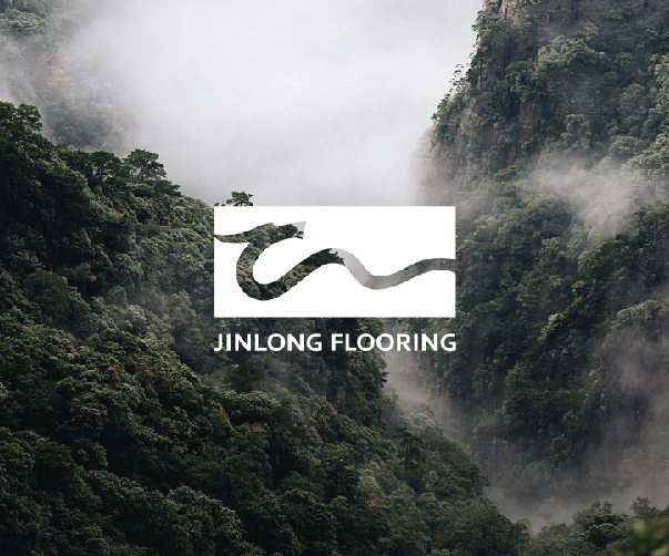 “湯尤杯”羽毛球團體賽標志設計